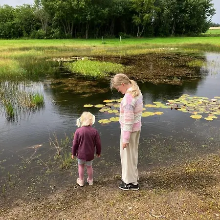 Country Hébergement de vacances Hejnsvig