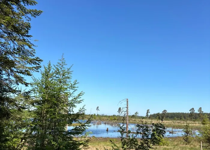 Сasa de vacaciones Country